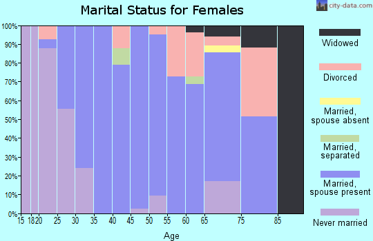 Zip code 99005 marital status for females