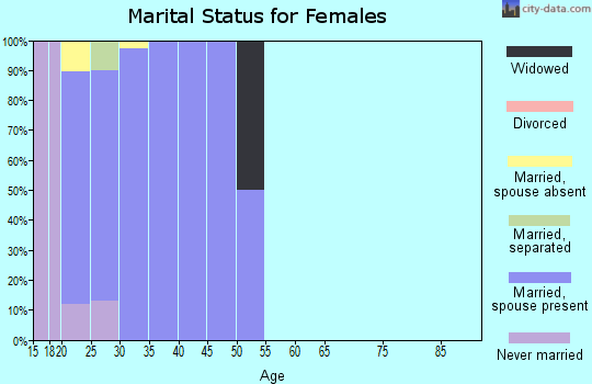 Zip code 99011 marital status for females