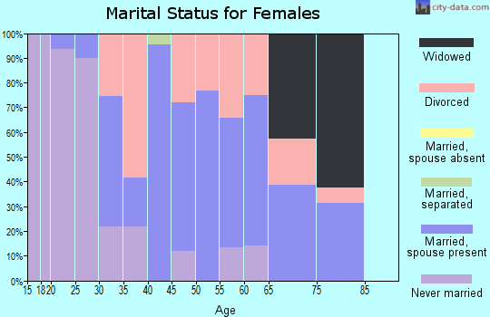 Zip code 99013 marital status for females