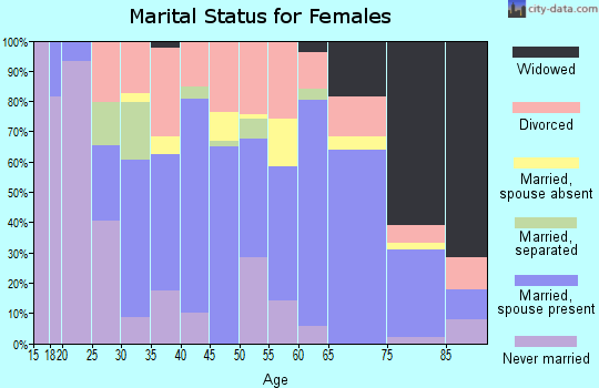 Zip code 99022 marital status for females