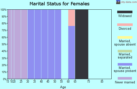 Zip code 99023 marital status for females