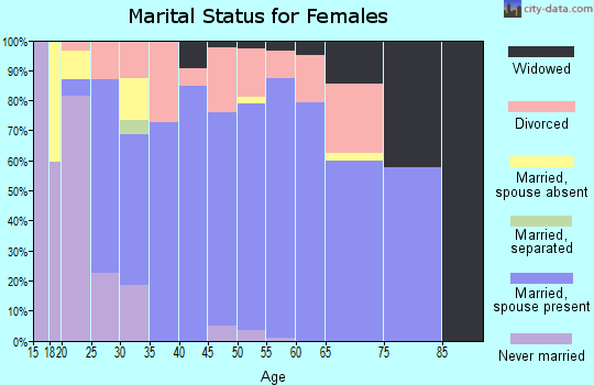 Zip code 99026 marital status for females