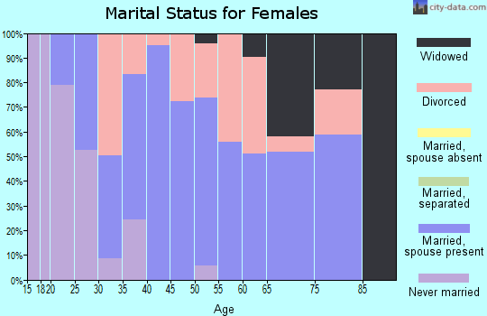 Zip code 99027 marital status for females