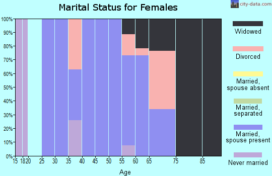 Zip code 99031 marital status for females