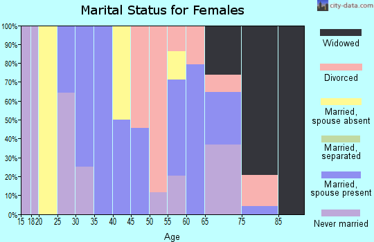 Zip code 99032 marital status for females