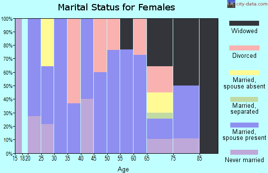 Zip code 99033 marital status for females