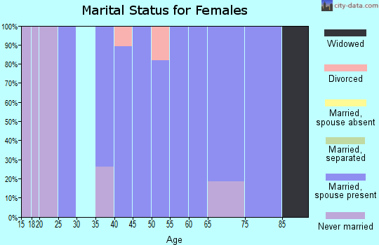 Zip code 99036 marital status for females
