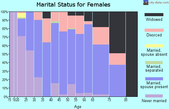 Zip code 99037 marital status for females