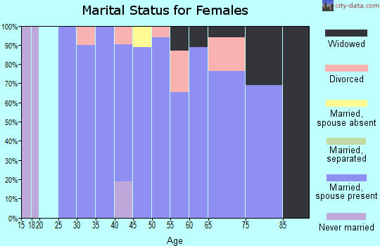 Zip code 99113 marital status for females