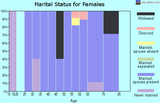 Zip code 99128 marital status for females