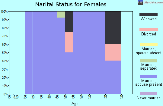Zip code 99135 marital status for females