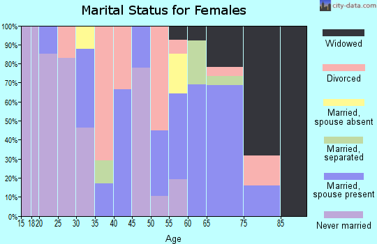 Zip code 99138 marital status for females
