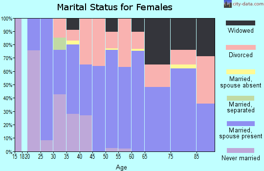 Zip code 99141 marital status for females