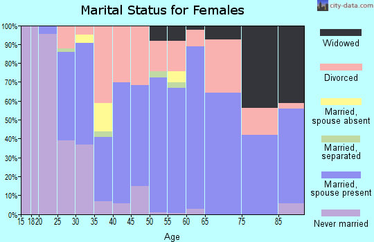 Zip code 99156 marital status for females