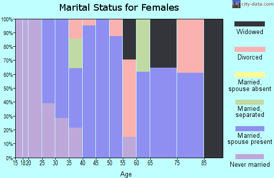Zip code 99173 marital status for females