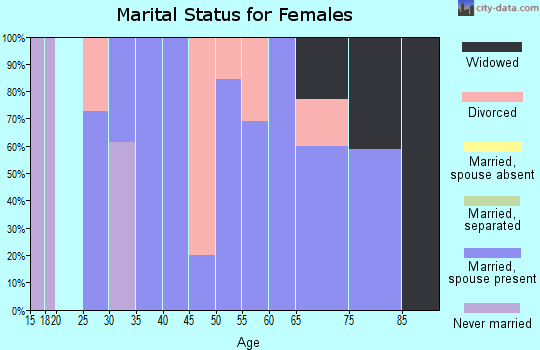 Zip code 99179 marital status for females