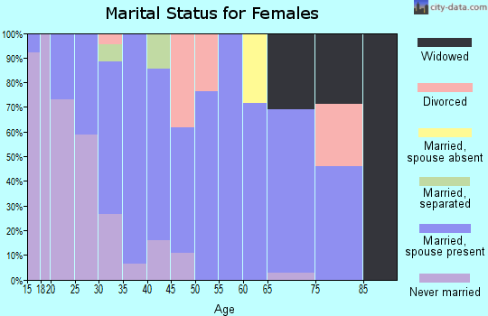 Zip code 99326 marital status for females