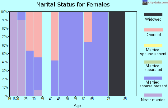 Zip code 99335 marital status for females