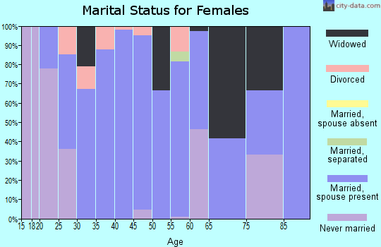 Zip code 99343 marital status for females