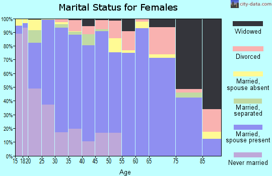 Zip code 99344 marital status for females