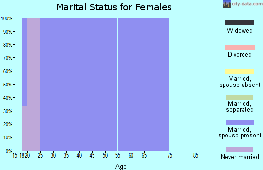 Zip code 99345 marital status for females