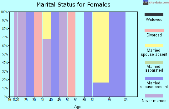 Zip code 99346 marital status for females
