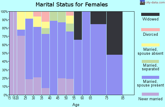Zip code 99349 marital status for females
