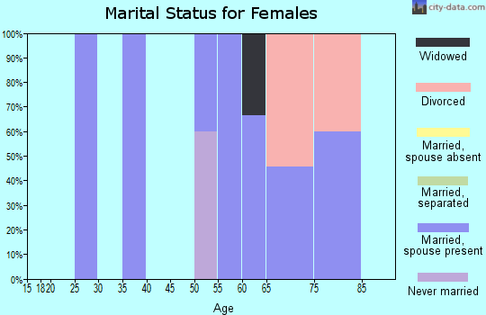 Zip code 99359 marital status for females