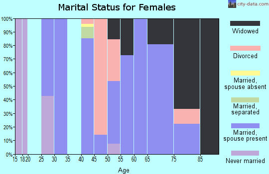 Zip code 99371 marital status for females