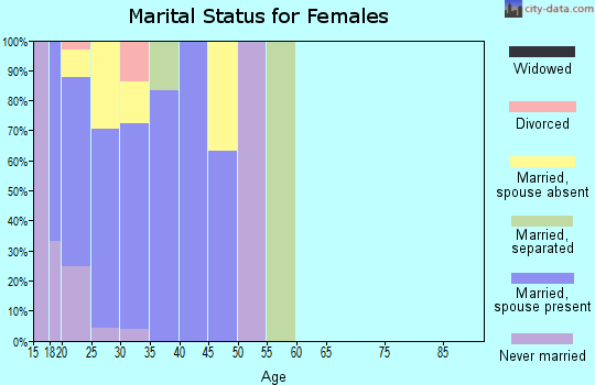 Zip code 99505 marital status for females