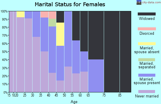Zip code 99563 marital status for females