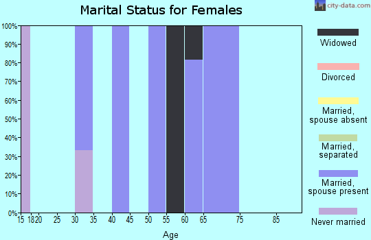 Zip code 99566 marital status for females