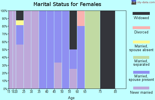 Zip code 99585 marital status for females