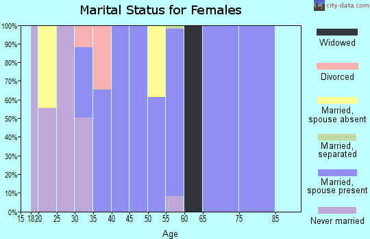 Zip code 99587 marital status for females