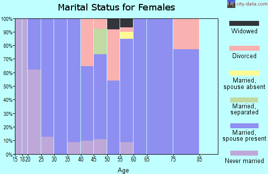 Zip code 99588 marital status for females