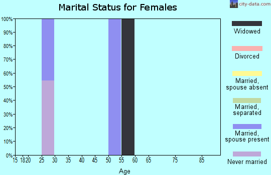 Zip code 99605 marital status for females