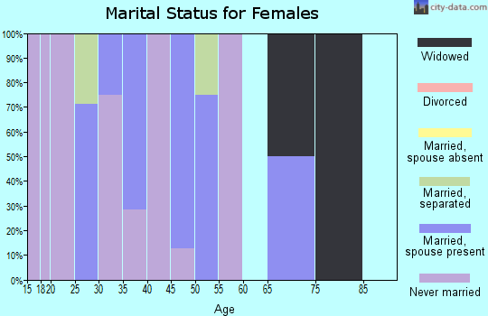 Zip code 99607 marital status for females