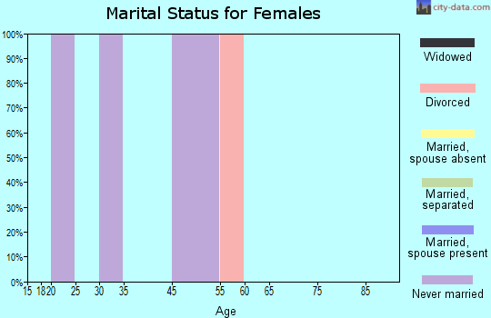 Zip code 99608 marital status for females