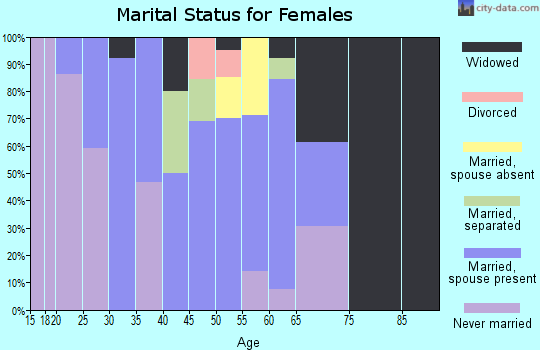 Zip code 99621 marital status for females