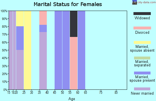 Zip code 99625 marital status for females