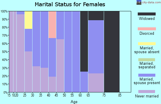 Zip code 99636 marital status for females