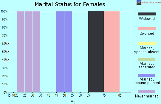 Zip code 99638 marital status for females