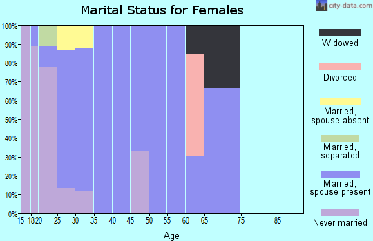 Zip code 99641 marital status for females