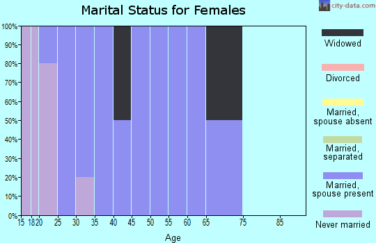 Zip code 99653 marital status for females