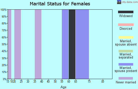 Zip code 99656 marital status for females