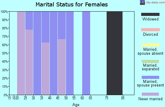 Zip code 99666 marital status for females