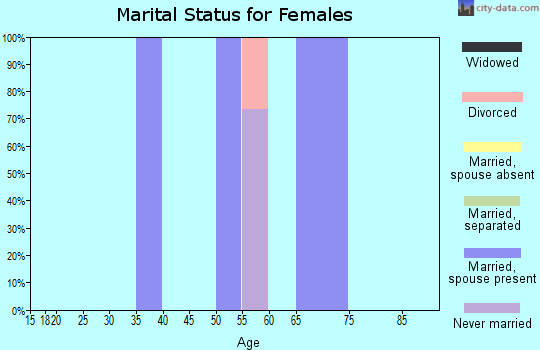 Zip code 99667 marital status for females