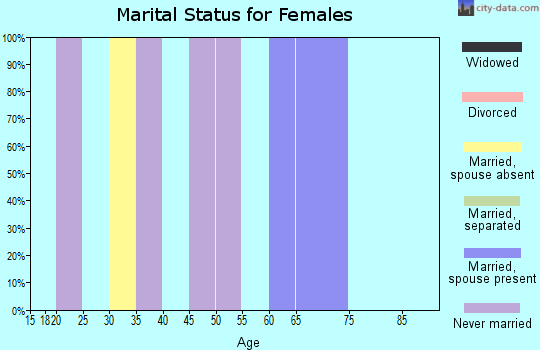 Zip code 99677 marital status for females