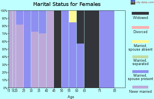Zip code 99679 marital status for females