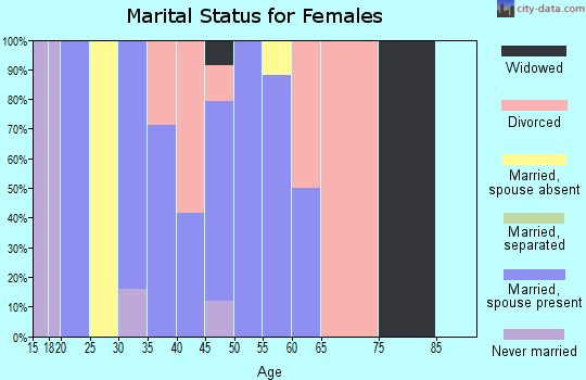 Zip code 99683 marital status for females